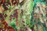 Chrysocolla & Malachite Slab From Arizona - Clear Coated #119755-1